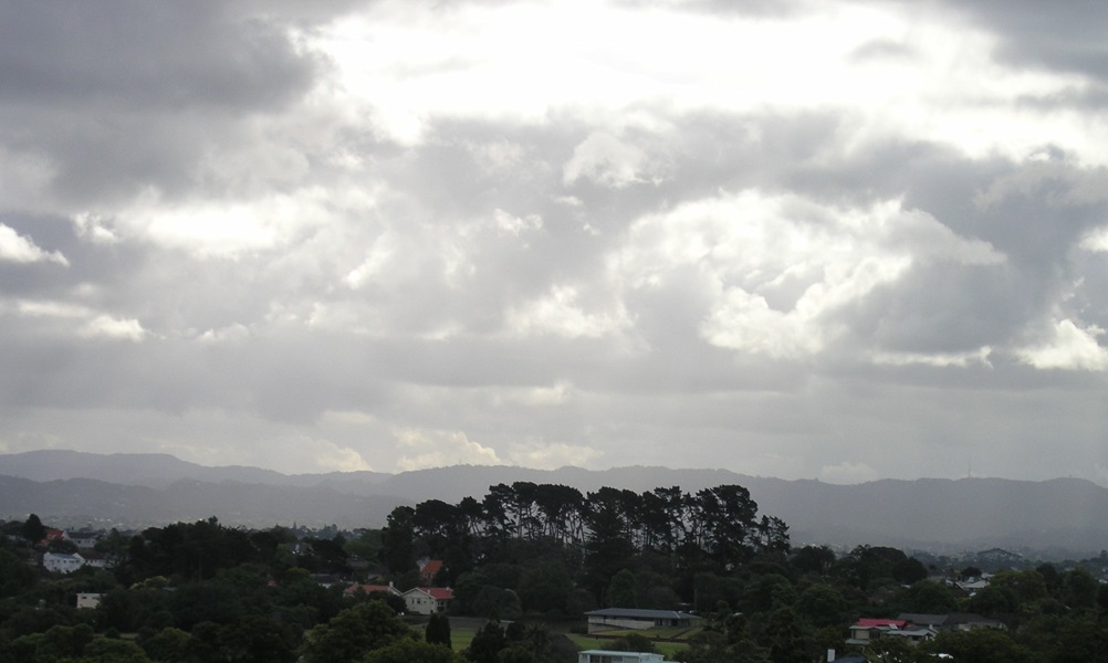 trees under a sky with promise